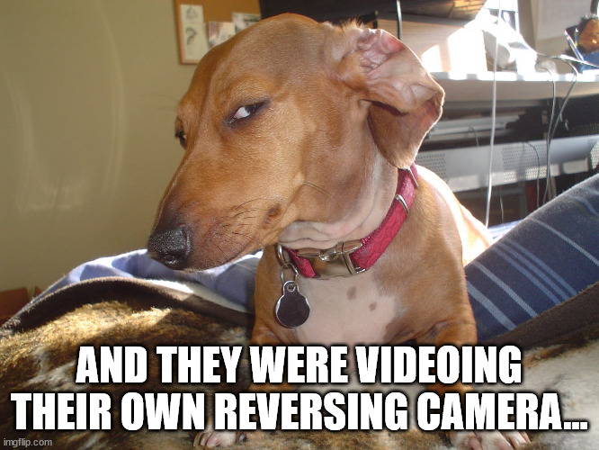 Suspicious Dog | AND THEY WERE VIDEOING THEIR OWN REVERSING CAMERA... | image tagged in suspicious dog | made w/ Imgflip meme maker