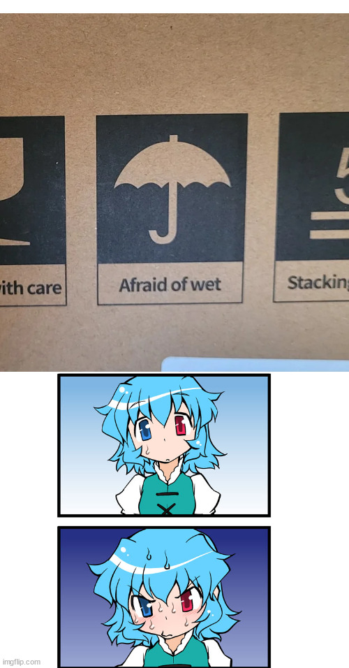 ''Afraid of wet'' | image tagged in funny,umbrella,fragile,box,engrish,hold up wait a minute something aint right | made w/ Imgflip meme maker