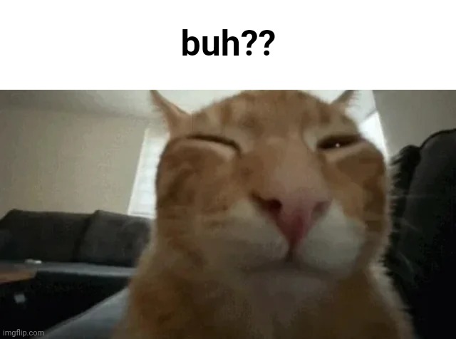 buh cat | buh?? | image tagged in buh cat | made w/ Imgflip meme maker