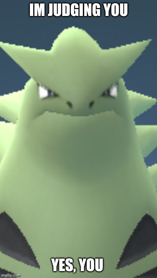 Wtf tyranitar | IM JUDGING YOU; YES, YOU | image tagged in wtf tyranitar | made w/ Imgflip meme maker