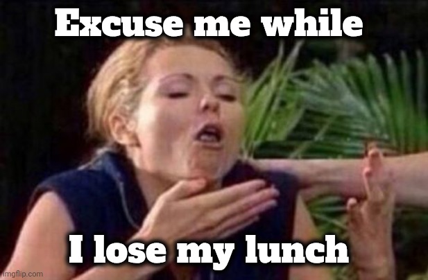 About to Puke | Excuse me while I lose my lunch | image tagged in about to puke | made w/ Imgflip meme maker