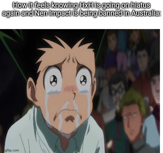 It's a sad day for the HxH fandom | How it feels knowing HxH is going on hiatus again and Nen Impact is being banned in Australia: | image tagged in original meme | made w/ Imgflip meme maker