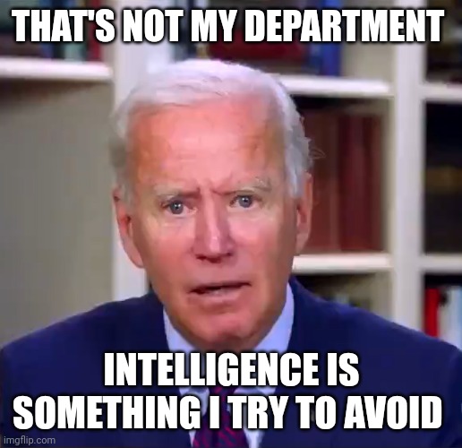 Avoid | THAT'S NOT MY DEPARTMENT; INTELLIGENCE IS SOMETHING I TRY TO AVOID | image tagged in slow joe biden dementia face | made w/ Imgflip meme maker