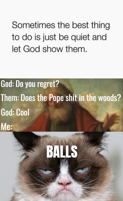 God: Do you regret? Them: Does the Pope shit in the woods? God: Cool; Me:; BALLS | image tagged in god,grumpy cat,funny | made w/ Imgflip meme maker