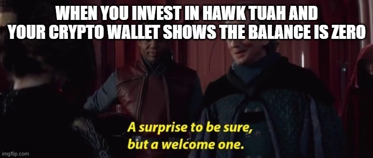 A surprise to be sure, but hawk 2 didn't uhh enough | WHEN YOU INVEST IN HAWK TUAH AND YOUR CRYPTO WALLET SHOWS THE BALANCE IS ZERO | image tagged in a surprise to be sure,memes,funny,hawk tuah,goofy ahh,star wars prequels | made w/ Imgflip meme maker