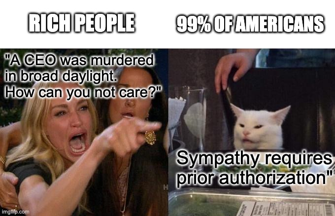 You Get What You Deserve | 99% OF AMERICANS; RICH PEOPLE; "A CEO was murdered in broad daylight. How can you not care?"; Sympathy requires prior authorization" | image tagged in memes,woman yelling at cat | made w/ Imgflip meme maker