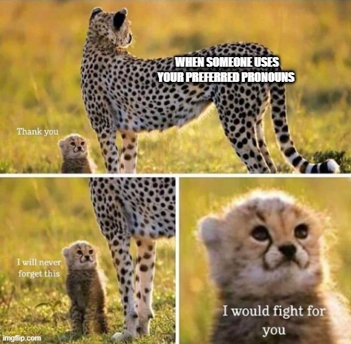 I would fight for you | WHEN SOMEONE USES YOUR PREFERRED PRONOUNS | image tagged in i would fight for you,lgbtq,lgbt,transgender,trans,pronouns | made w/ Imgflip meme maker