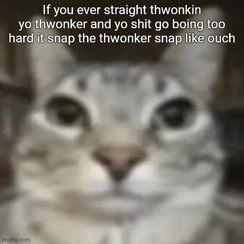 car | If you ever straight thwonkin yo thwonker and yo shit go boing too hard it snap the thwonker snap like ouch | image tagged in car | made w/ Imgflip meme maker