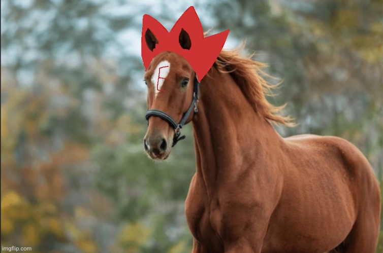 Wake up babe.....Horsefiya.... | made w/ Imgflip meme maker