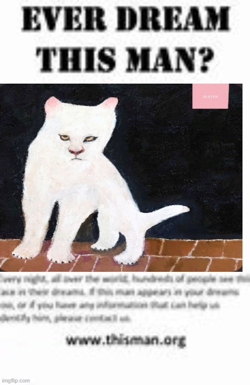 duster cat | image tagged in ever dream this man | made w/ Imgflip meme maker