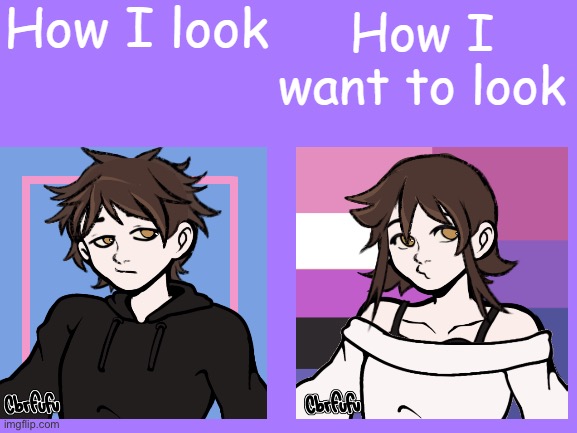 Might as well do this trend before I disappear again | image tagged in how i look vs how i want to look | made w/ Imgflip meme maker