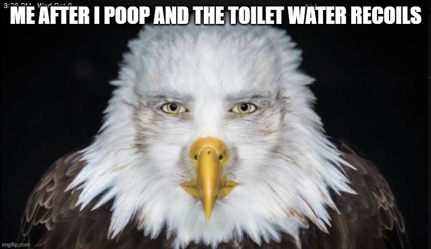 eagle stare | ME AFTER I POOP AND THE TOILET WATER RECOILS | image tagged in eagle stare | made w/ Imgflip meme maker