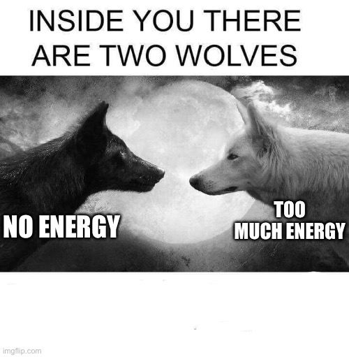 Me | TOO MUCH ENERGY; NO ENERGY | image tagged in inside you there are two wolves,funny memes,memes,relatable | made w/ Imgflip meme maker