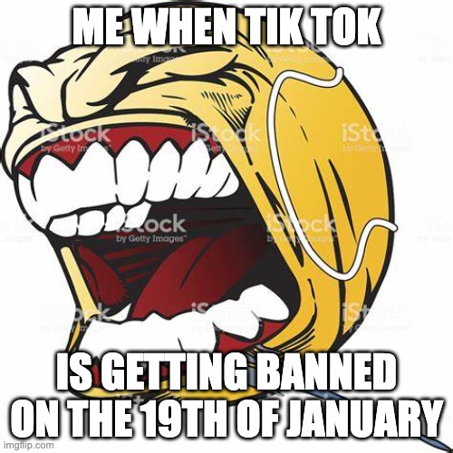 LETS GOOOOOOOOO RARE USA W | ME WHEN TIK TOK; IS GETTING BANNED ON THE 19TH OF JANUARY | image tagged in let's go ball | made w/ Imgflip meme maker