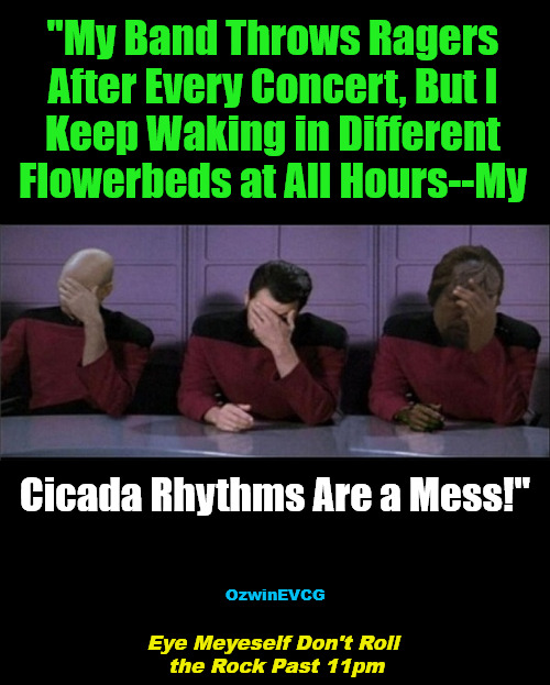 Eye... . . . pm | "My Band Throws Ragers 

After Every Concert, But I 

Keep Waking in Different 

Flowerbeds at All Hours--My; Cicada Rhythms Are a Mess!"; OzwinEVCG; Eye Meyeself Don't Roll 

the Rock Past 11pm | image tagged in picard riker worf triple facepalm,parties,sleeping,awkward,rock band,flowers | made w/ Imgflip meme maker