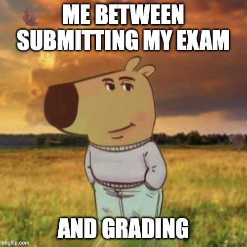 chill guy | ME BETWEEN SUBMITTING MY EXAM; AND GRADING | image tagged in chill guy | made w/ Imgflip meme maker