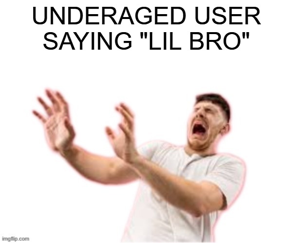 UNDERAGED USER SAYING "LIL BRO" | image tagged in he left all caps on custom | made w/ Imgflip meme maker