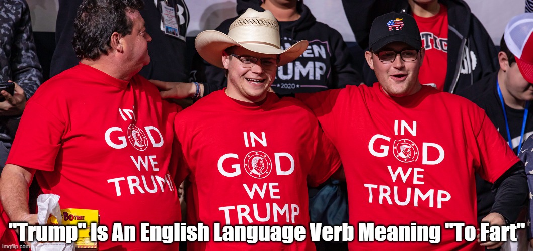 Bamboozling The Dimwits | "Trump" Is An English Language Verb Meaning "To Fart" | image tagged in in god we trump,fart,to trump is a verb | made w/ Imgflip meme maker