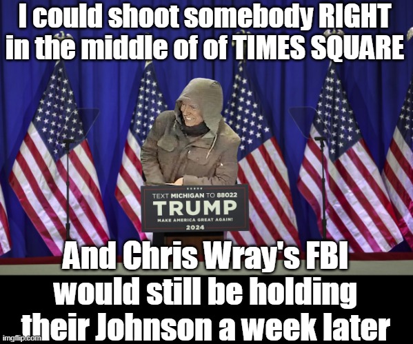 The Donald calls em as he sees em | I could shoot somebody RIGHT in the middle of of TIMES SQUARE; And Chris Wray's FBI would still be holding their Johnson a week later | image tagged in shoot times square chris wray trump meme | made w/ Imgflip meme maker