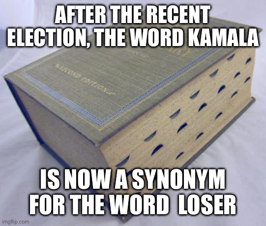 Dictionary | AFTER THE RECENT ELECTION, THE WORD KAMALA; IS NOW A SYNONYM FOR THE WORD  LOSER | image tagged in dictionary | made w/ Imgflip meme maker