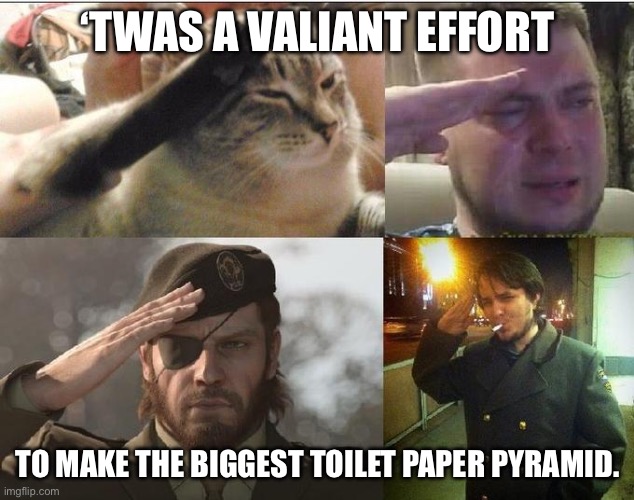 Ozon's Salute | ‘TWAS A VALIANT EFFORT TO MAKE THE BIGGEST TOILET PAPER PYRAMID. | image tagged in ozon's salute | made w/ Imgflip meme maker