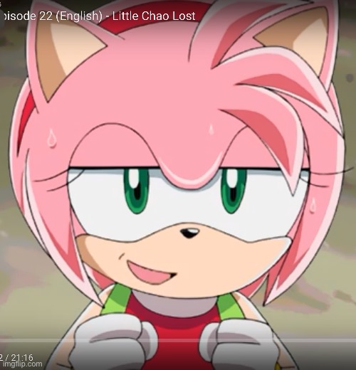 Why doesn’t anyone post here? | image tagged in amy rose | made w/ Imgflip meme maker