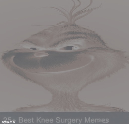 I forgot I was mod | image tagged in blue grinch knee surgery template | made w/ Imgflip meme maker