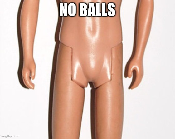 no balls | NO BALLS | image tagged in no balls | made w/ Imgflip meme maker