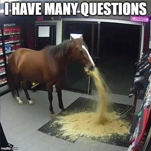 Cursed Horse | I HAVE MANY QUESTIONS | image tagged in cursed image | made w/ Imgflip meme maker