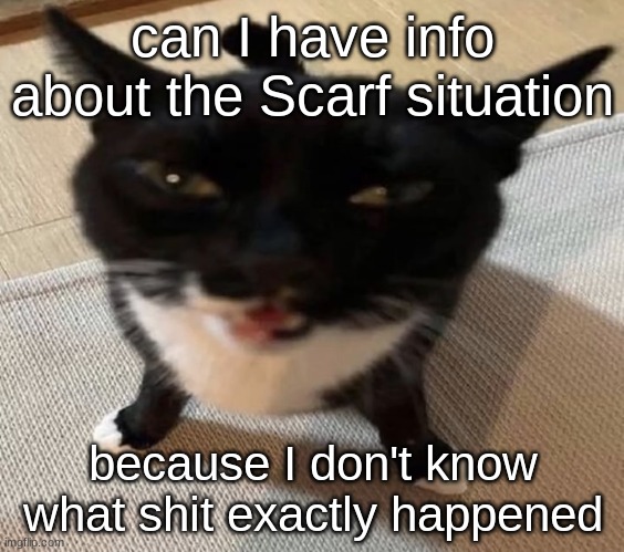 Cat of anger | can I have info about the Scarf situation; because I don't know what shit exactly happened | image tagged in cat of anger | made w/ Imgflip meme maker