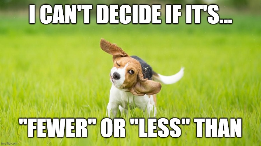 fewer vs less | I CAN'T DECIDE IF IT'S... "FEWER" OR "LESS" THAN | image tagged in grammar | made w/ Imgflip meme maker