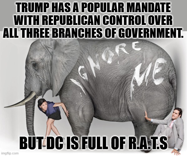 Republicans Against Trump | TRUMP HAS A POPULAR MANDATE WITH REPUBLICAN CONTROL OVER ALL THREE BRANCHES OF GOVERNMENT. BUT DC IS FULL OF R.A.T.S | image tagged in elephant in the room | made w/ Imgflip meme maker