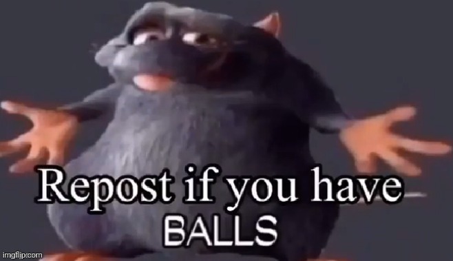 repost if you have balls | image tagged in repost if you have balls | made w/ Imgflip meme maker