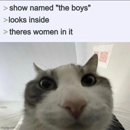 Cat looks inside | show named "the boys"; looks inside; theres women in it | image tagged in cat looks inside | made w/ Imgflip meme maker