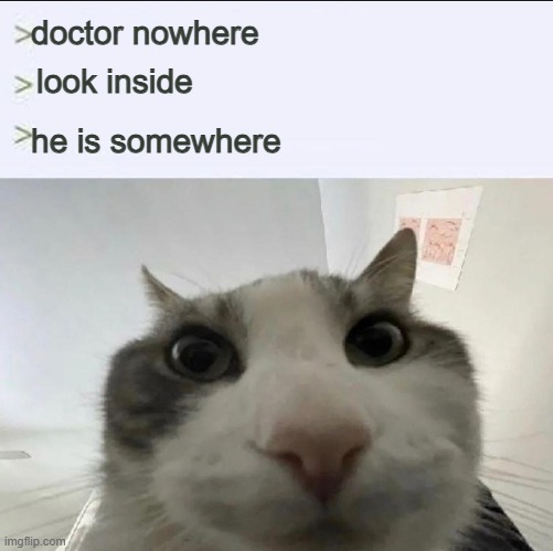 Cat looks inside | doctor nowhere; look inside; he is somewhere | image tagged in cat looks inside | made w/ Imgflip meme maker