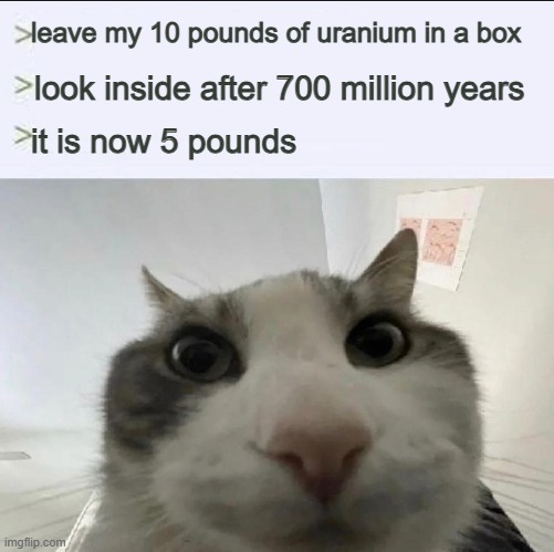 Cat looks inside | leave my 10 pounds of uranium in a box; look inside after 700 million years; it is now 5 pounds | image tagged in cat looks inside | made w/ Imgflip meme maker