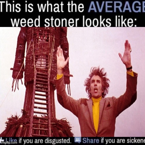 what the AVERAGE weed stoner looks like (add your own image) | image tagged in what the average weed stoner looks like add your own image | made w/ Imgflip meme maker