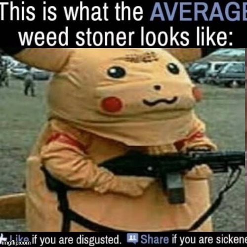 what the AVERAGE weed stoner looks like (add your own image) | image tagged in what the average weed stoner looks like add your own image | made w/ Imgflip meme maker