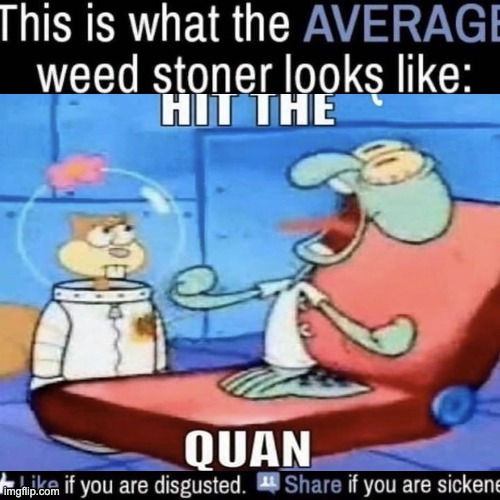 HIT THE QUAN | image tagged in what the average weed stoner looks like add your own image | made w/ Imgflip meme maker