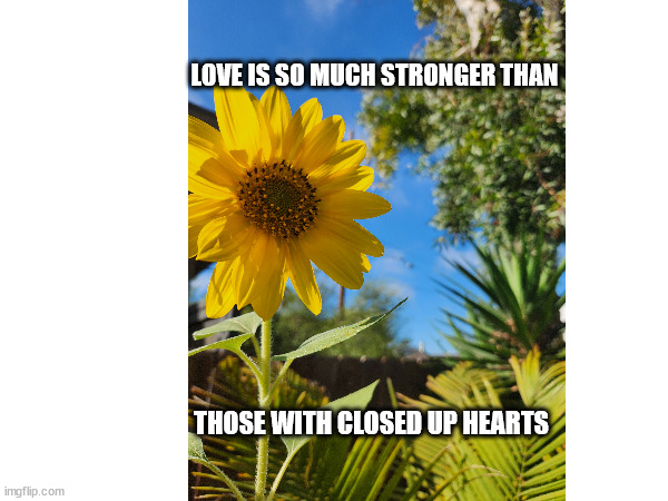 LOVE | LOVE IS SO MUCH STRONGER THAN; THOSE WITH CLOSED UP HEARTS | image tagged in love,kindness | made w/ Imgflip meme maker