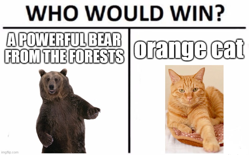 orange cat goes meow meowbear goes run run | A POWERFUL BEAR FROM THE FORESTS; orange cat | image tagged in memes,who would win,funny,fun,tag reading skill leveled up to 100 | made w/ Imgflip meme maker