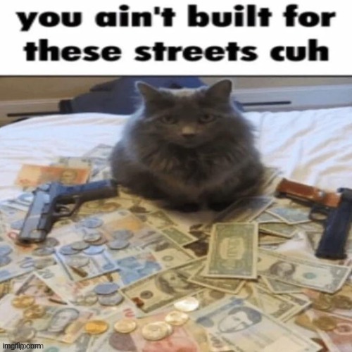 You ain't built for these streets cuh | image tagged in you ain't built for these streets cuh | made w/ Imgflip meme maker