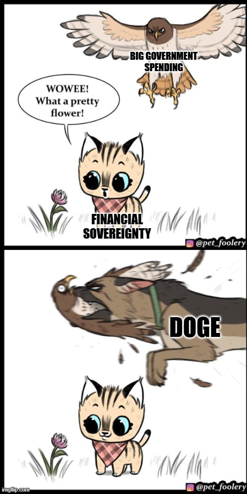 Brutus and pixie | BIG GOVERNMENT SPENDING; FINANCIAL SOVEREIGNTY; DOGE | image tagged in brutus and pixie | made w/ Imgflip meme maker