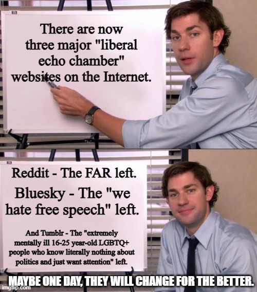 And the best part? Nobody takes these websites seriously. Funny how quickly everything fell apart for these people. | There are now three major "liberal echo chamber" websites on the Internet. Reddit - The FAR left. Bluesky - The "we hate free speech" left. And Tumblr - The "extremely mentally ill 16-25 year-old LGBTQ+ people who know literally nothing about politics and just want attention" left. MAYBE ONE DAY, THEY WILL CHANGE FOR THE BETTER. | image tagged in jim halpert explains,reddit,bluesky,tumblr,echo chamber,internet | made w/ Imgflip meme maker