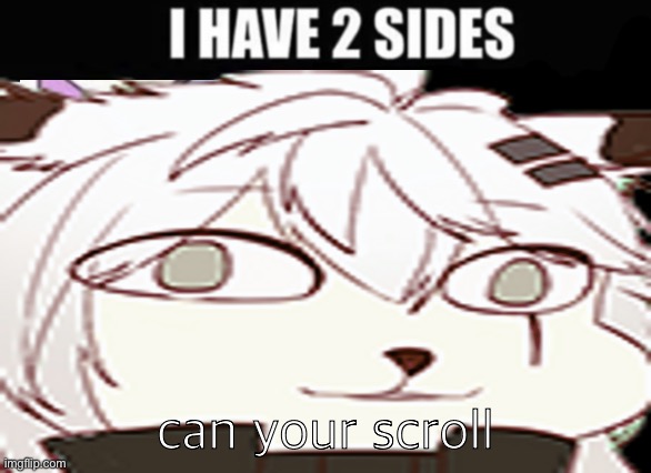 I have 2 sides | can your scroll | image tagged in i have 2 sides | made w/ Imgflip meme maker