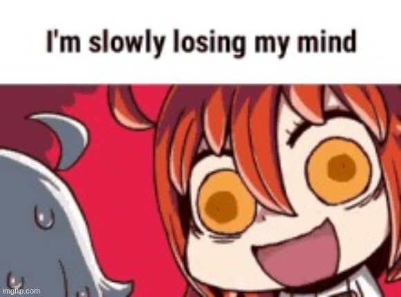 im slowly losing my mind | image tagged in im slowly losing my mind | made w/ Imgflip meme maker