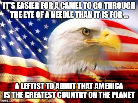 American Flag | IT'S EASIER FOR A CAMEL TO GO THROUGH THE EYE OF A NEEDLE THAN IT IS FOR ... A LEFTIST TO ADMIT THAT AMERICA IS THE GREATEST COUNTRY ON THE PLANET | image tagged in american flag | made w/ Imgflip meme maker