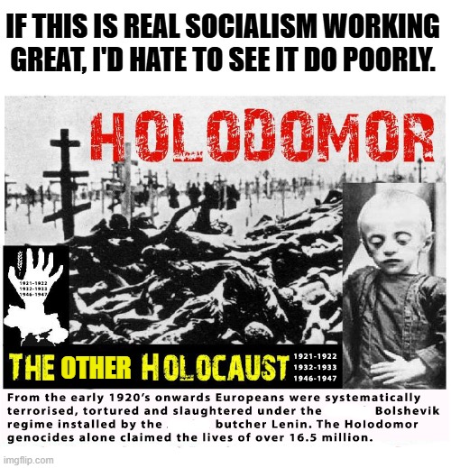 HOLODOMOR | IF THIS IS REAL SOCIALISM WORKING GREAT, I'D HATE TO SEE IT DO POORLY. OTHER | image tagged in holodomor | made w/ Imgflip meme maker