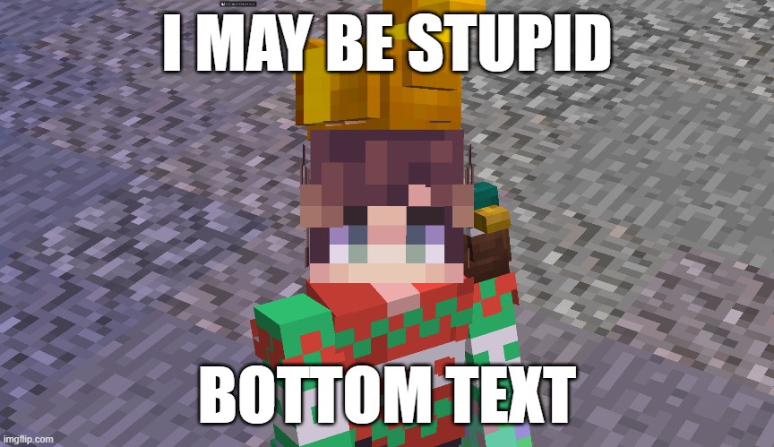 First Original Meme | I MAY BE STUPID; BOTTOM TEXT | image tagged in meme,minecraft,i may be stupid | made w/ Imgflip meme maker