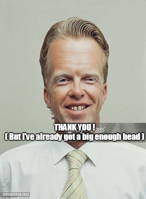 THANK YOU !
( But I've already got a big enough head ) | made w/ Imgflip meme maker